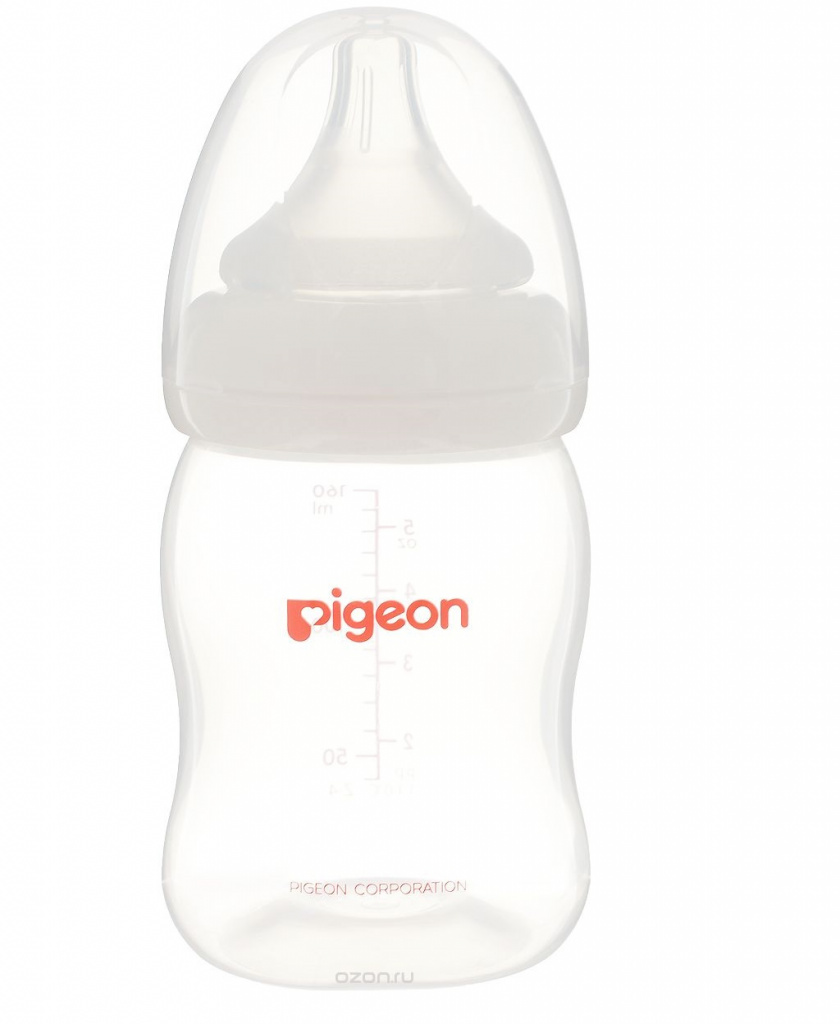 Pigeon Bouteille Pigeon Bouteille