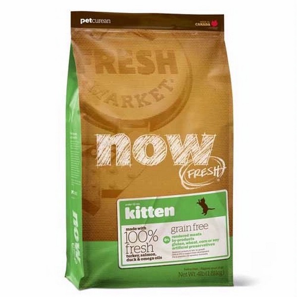 NOW Natural Recette de chaton sans grains frais holistique naturelle