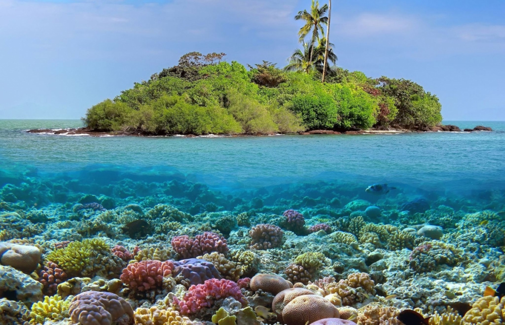 CORAL ISLAND.jpg CORAL ISLAND.jpg
