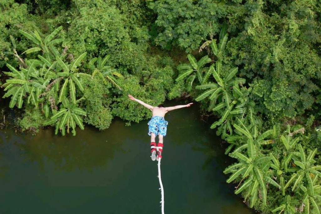 Bungee Bungee