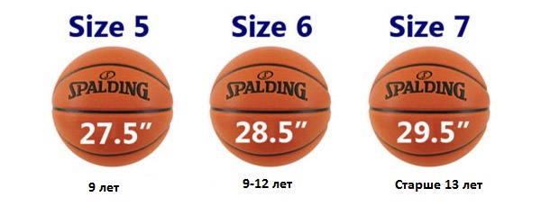 Tailles de basket Tailles de basket